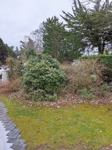 Photo de galerie - Jardinier