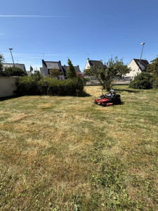 Photo de galerie - Tonte de pelouse - Débroussaillage