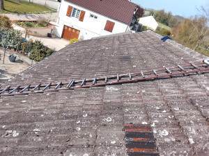 Photo de galerie - Traitement 