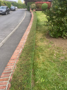 Photo de galerie - Taille terminée