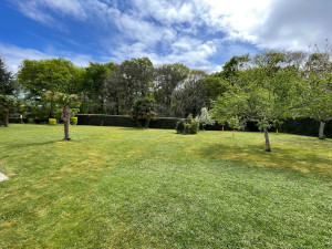 Photo de galerie - Taille de haie 