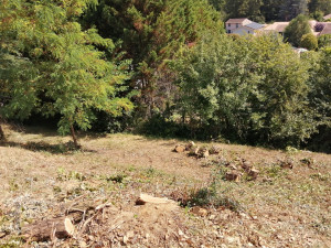 Photo de galerie - Tonte de pelouse - Débroussaillage