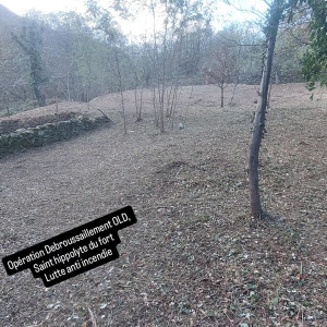 Photo de galerie - Tonte de pelouse - Débroussaillage