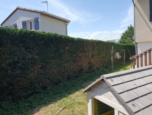 Photo de galerie - Entretien jardin