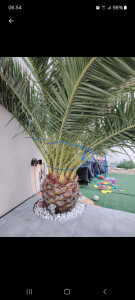 Photo de galerie - Jardinier