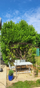 Photo de galerie - Avant 