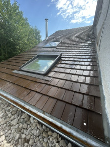 Photo de galerie - Traitement anti-mousse