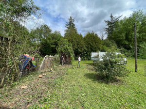Photo de galerie - Abattage d’une haie de laurier