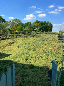 Photo de galerie - Avant après entretien jardin 