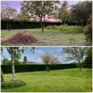 Photo de galerie - Remise au propre jardin 