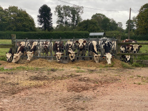 Photo de galerie - Gaec 