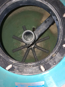 Photo de galerie - Entretien piscine