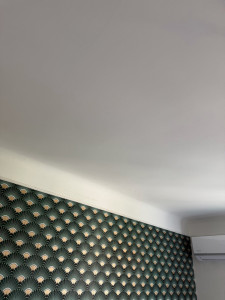 Photo de galerie - Peintre des plafonds 