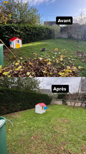 Photo de galerie - Tonte de pelouse - Débroussaillage