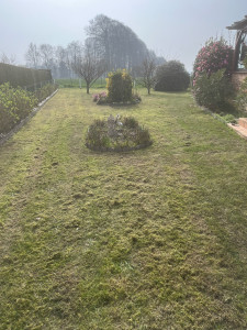 Photo de galerie - Paysagiste - Aménagement du jardin