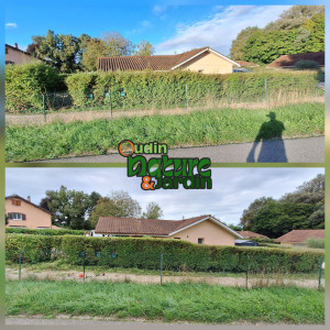 Photo de galerie - Taille de haies et d'arbustes