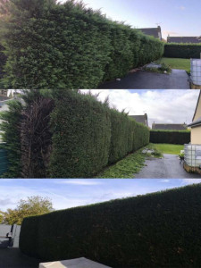 Photo de galerie - Taille de haie un coup de frais immédiat pour votre jardin !
Intervention rapide et soignée pour redonner à la haie une silhouette nette et parfaitement régulière.