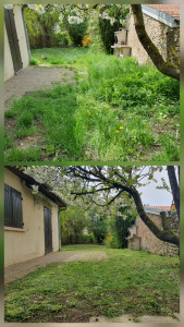 Photo de galerie - Remise en état jardin