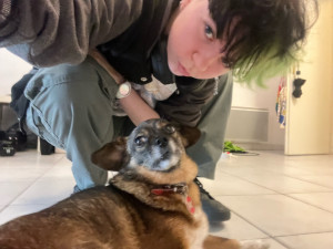 Photo de galerie - J’ai gardé mon chien un week-end pendant que mes parents été indisponibles