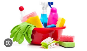 Photo de galerie - Disponible pour quelques heures de ménage 