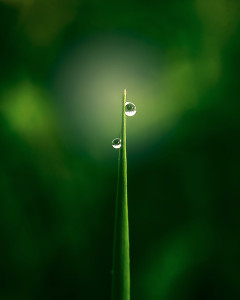 Photo de galerie - Photographe