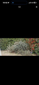 Photo de galerie - Enlever déchets vert (avant )