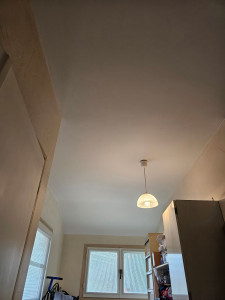 Photo de galerie - Peinture plafond mat