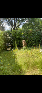 Photo de galerie - Avant 