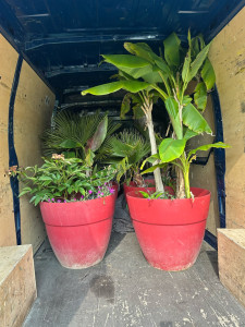 Photo de galerie - Transport plantes 