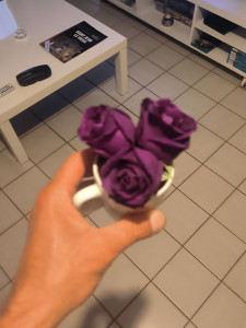 Photo de galerie - Roses violettes 