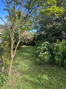 Photo de galerie - Tonte et taille de jardin