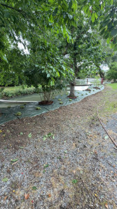 Photo de galerie - Pose de bâche avec plantation  