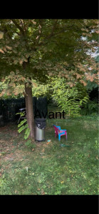 Photo de galerie - Tonte