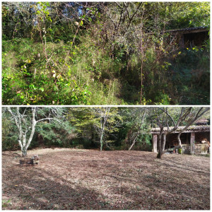 Photo de galerie - Avant/après