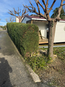 Photo de galerie - Taille arrondie ou carrée 