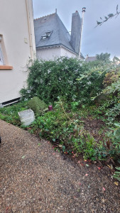 Photo de galerie - Aménagement parterre (Avant)