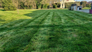 Photo de galerie - Entretien de terrain 