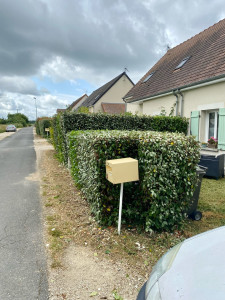 Photo de galerie - Taille de haie 