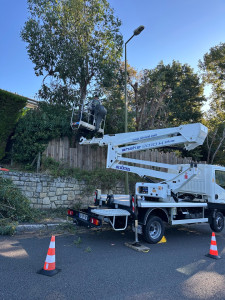Photo de galerie - Voici nos prestations étêtage d’arbres avec nacelle avec nos plus grands soins