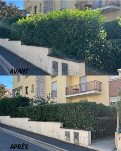 Photo de galerie - Jardinier