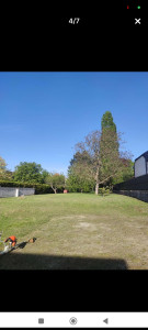 Photo de galerie - Tonte d'un jardin de 1000m2