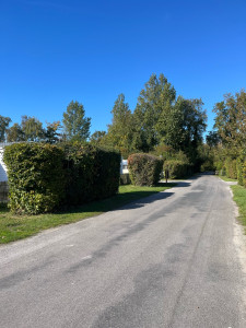 Photo de galerie - Après un bon taillage, une bonne tonte et ça c’est du Super boulot