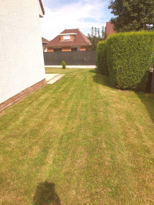 Photo de galerie - Tonte pelouse 