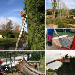 Photo de galerie - Bonjour tout travaux espace verts 