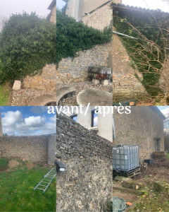 Photo de galerie - Retrait de lierre sur mur de maison 