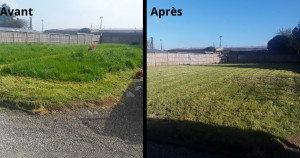 Photo de galerie - Tonte 600m2  herbes haute (40-50cm)  avec évacuation 