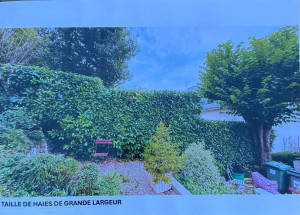Photo de galerie - Élagage de haie de grande hauteur avec accès difficile