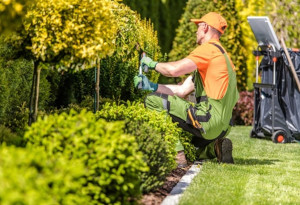 Photo de galerie - Nettoyage de jardin, nettoyage de tous les jardins 