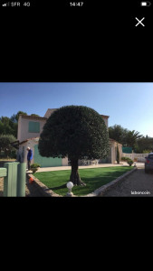 Photo de galerie - Paysagiste - Aménagement du jardin