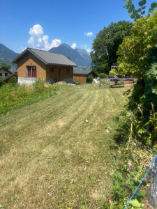 Photo de galerie - Tonte